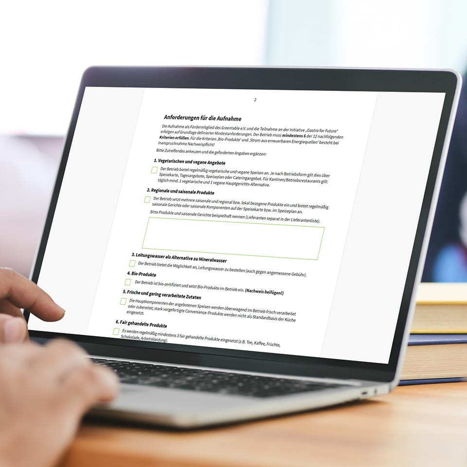 aufnahmekriterien_online 14 Key areas